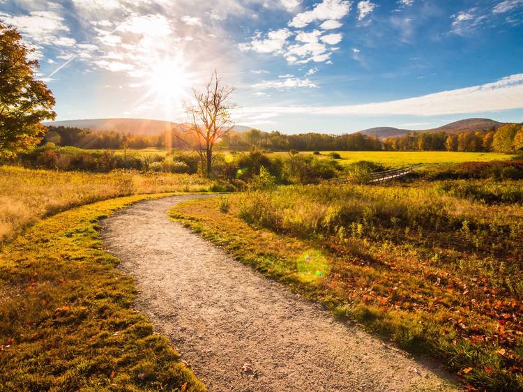 A 750-mile trail connecting NYC to Canada is now open A 750-mile trail connecting NYC to Canada is now open