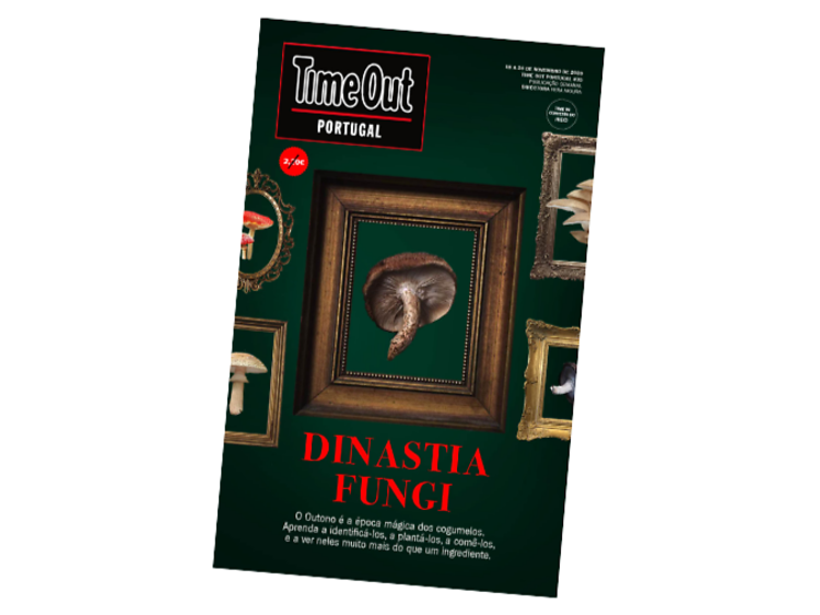 Dinastia fungi Dinastia fungi