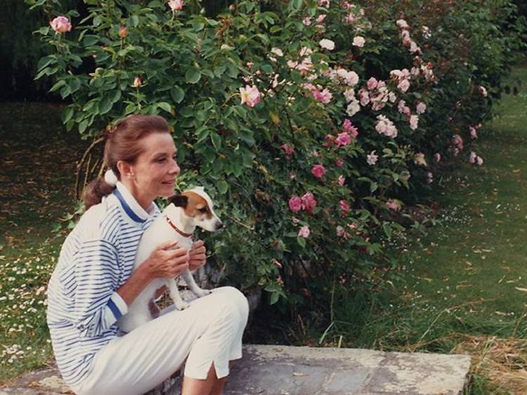 Audrey