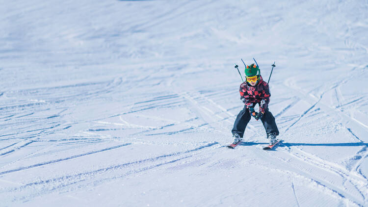 Go cross-country skiing at the Morton Arboretum