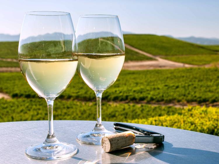 Sonoma County | California