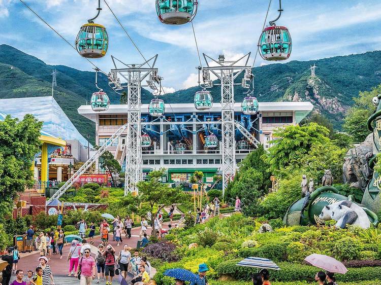 Feel the thrill at Hong Kong Ocean Park