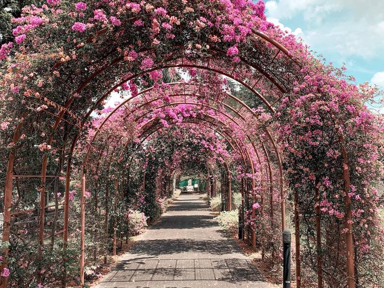 The most romantic places in Singapore