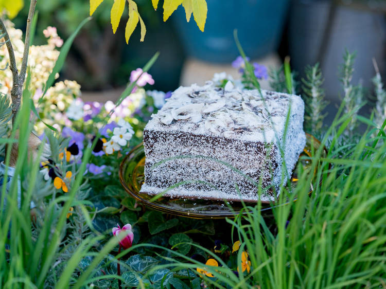 7 places to get a top of the line lamington in Sydney