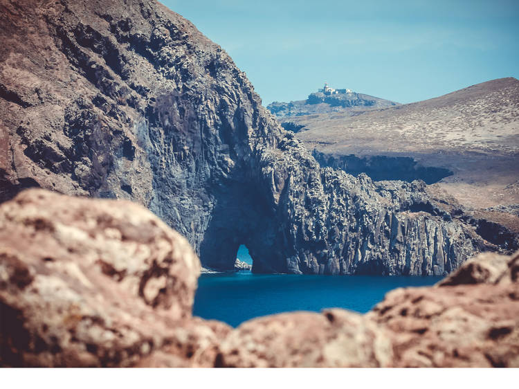 Fun facts: nine things you need to know about Madeira