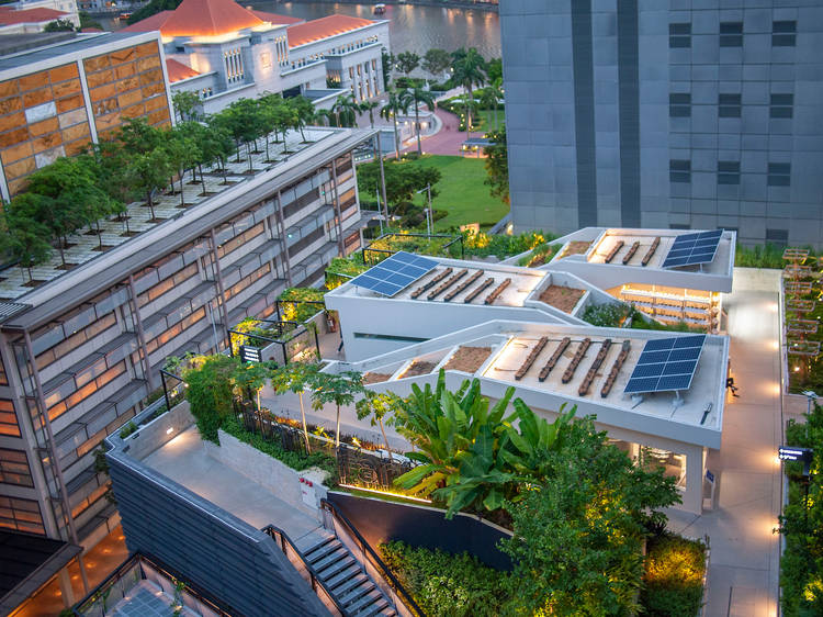 Edible Garden City