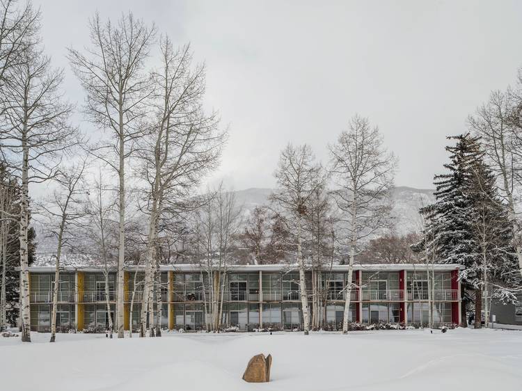 Aspen Meadows, Colorado