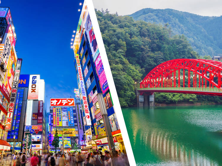 Tokyo fusion trip