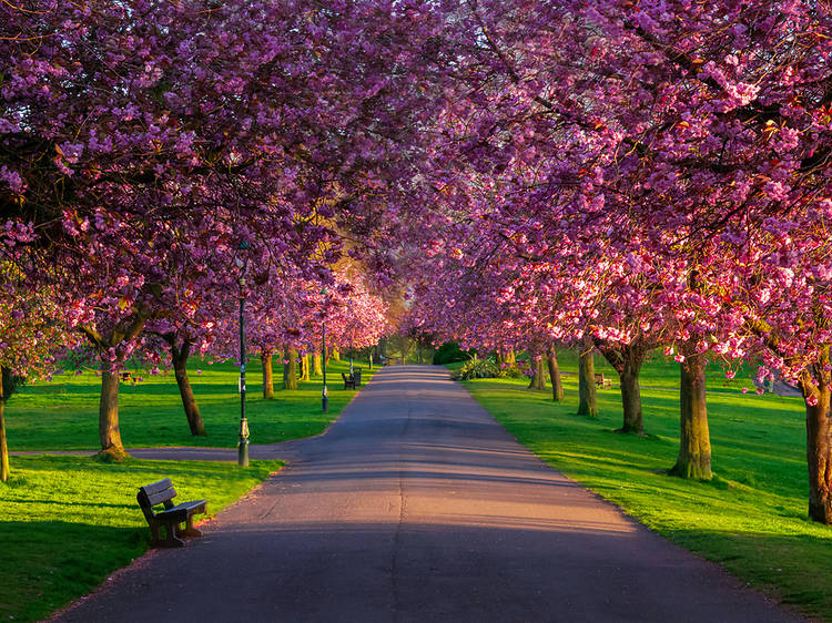 Pittencrieff Park, Dunfermline
