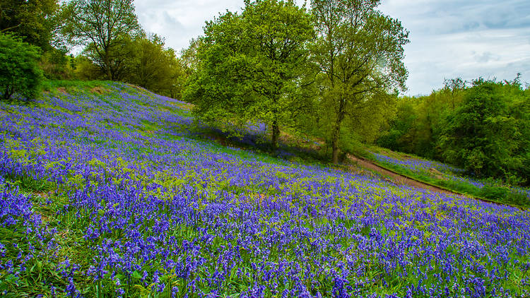 Clent Hills, Worcestershire