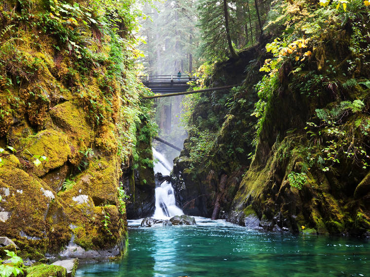 Olympic National Park | WA
