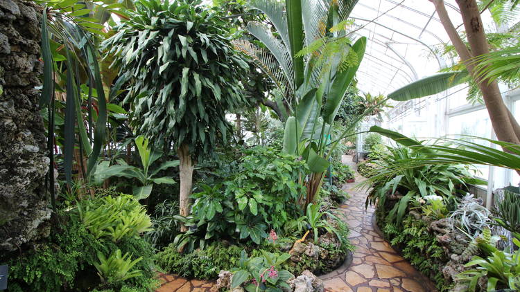 Oak Park Conservatory