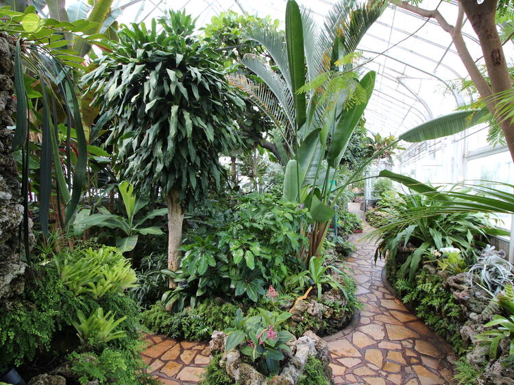Oak Park Conservatory
