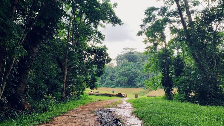 Take on the Rail Corridor