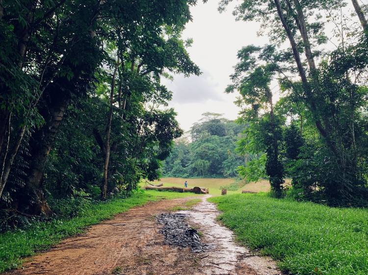 Take on the Rail Corridor