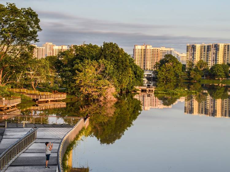 Zen out at Jurong Lake Gardens