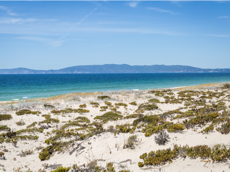 Há paraísos perto de Lisboa para explorar