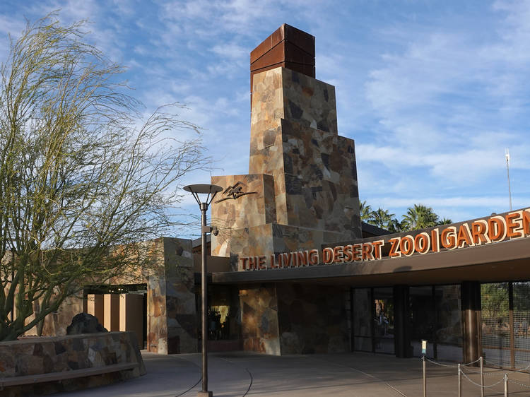 Feed the giraffes at the Living Desert Zoo & Gardens