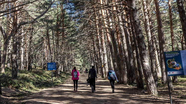 Senderismo Cercedilla