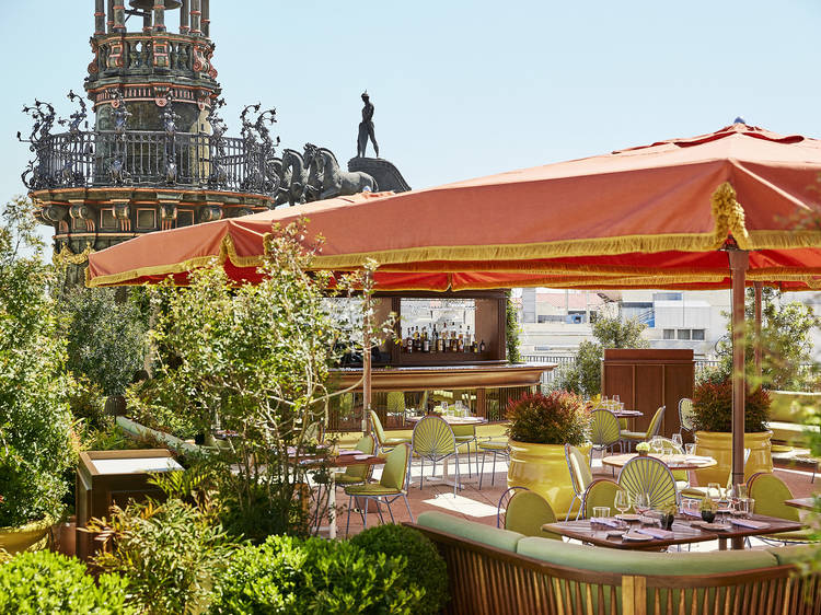 Dani Brasserie