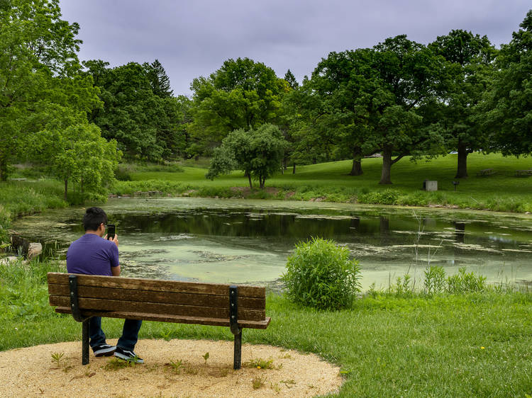 Lakewood Forest Preserve