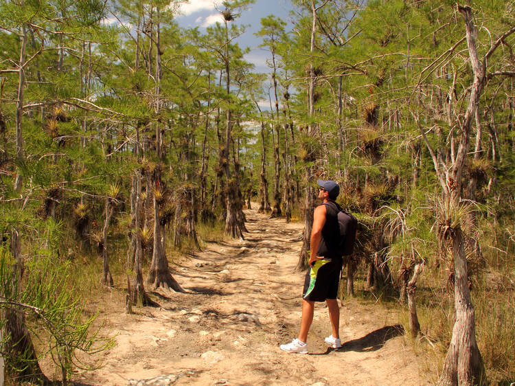 The best camping in Miami to get back to nature The best camping in Miami to get back to nature