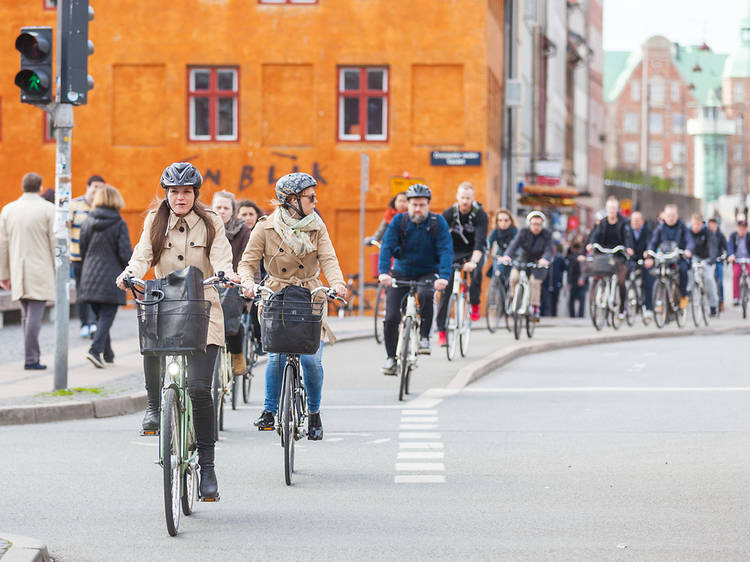Take walks and cycle on local trips