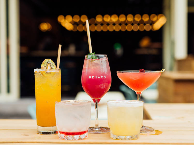 Bar Renard