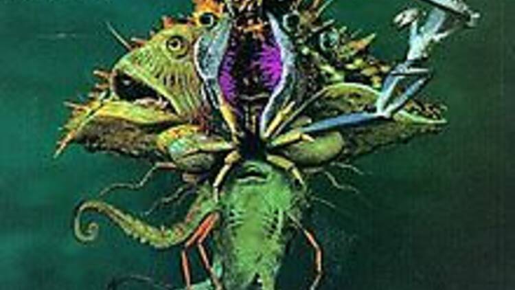 ‘The Blarney Stone’ by Ween