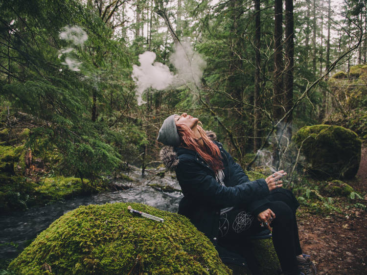 The best marijuana dispensaries in Portland The best marijuana dispensaries in Portland