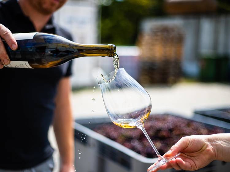 Just Wines
