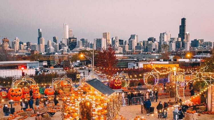 Jack's Pumpkin Pop-Up