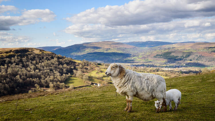 Wales