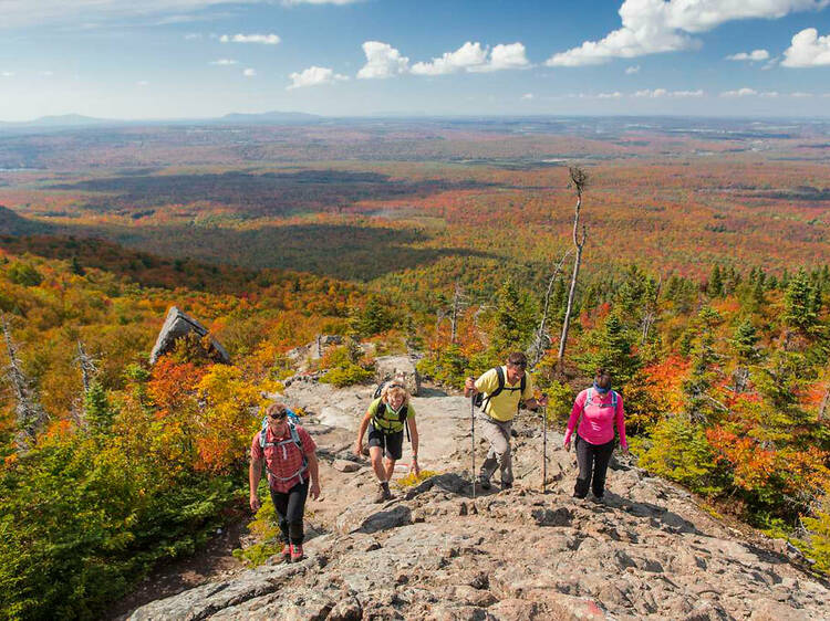 Parc national du Mont Orford