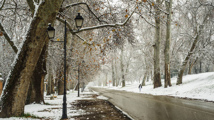 Aranjuez Aranjuez