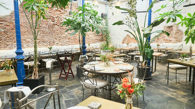 Restaurantes nuevos y modernos