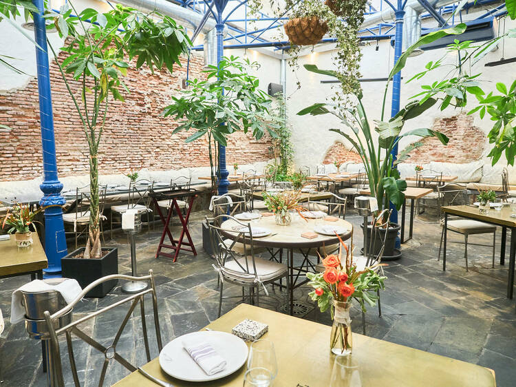Restaurantes nuevos y modernos