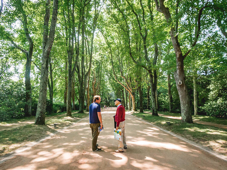 Os melhores parques e jardins no Porto Os melhores parques e jardins no Porto
