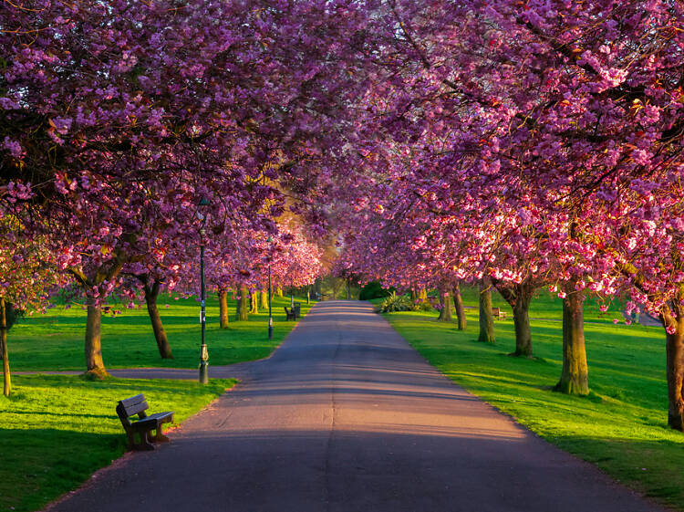 Dunfermline