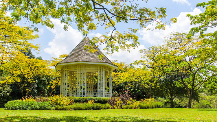 Stop and smell the roses at Singapore Botanic Gardens