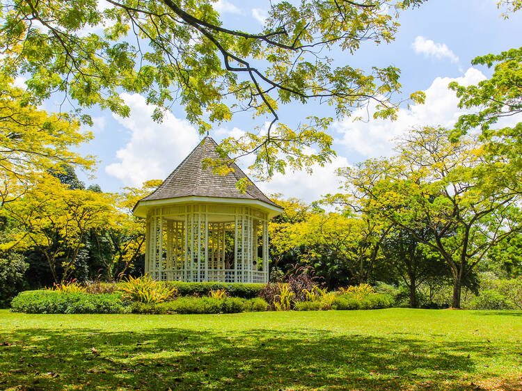 Stop and smell the roses at Singapore Botanic Gardens