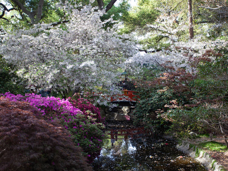 Descanso Gardens