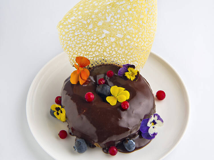 Donut de chocolate de Salmon Guru