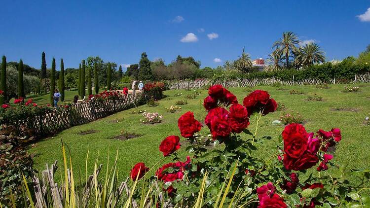 Parc de Cervantes
