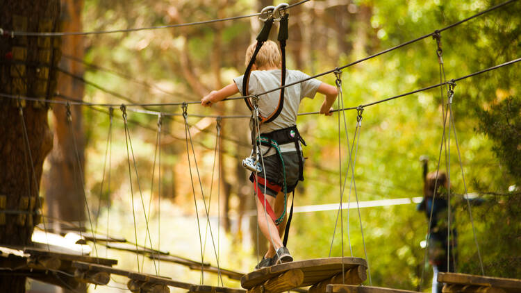 Aventura Amazonia