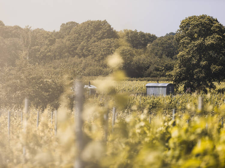 The 12 prettiest vineyards in the UK The 12 prettiest vineyards in the UK