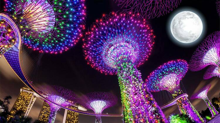 Photograph: Gardens by the Bay