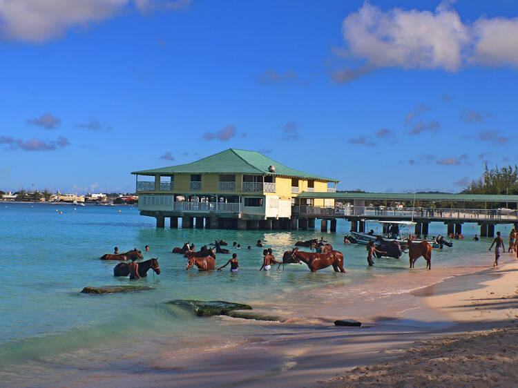 The 9 best things to do in Barbados