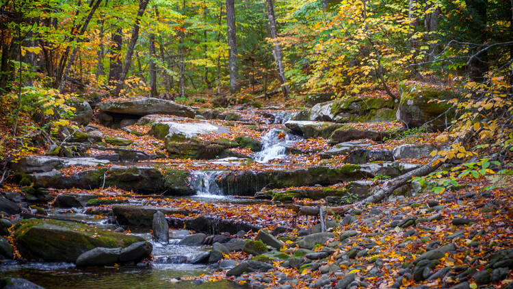 Catskill Mountain Railroad | Kingston, NY