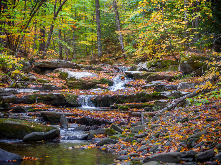 Catskill Mountain Railroad | Kingston, NY